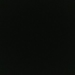 Meet your Posher, Shawna